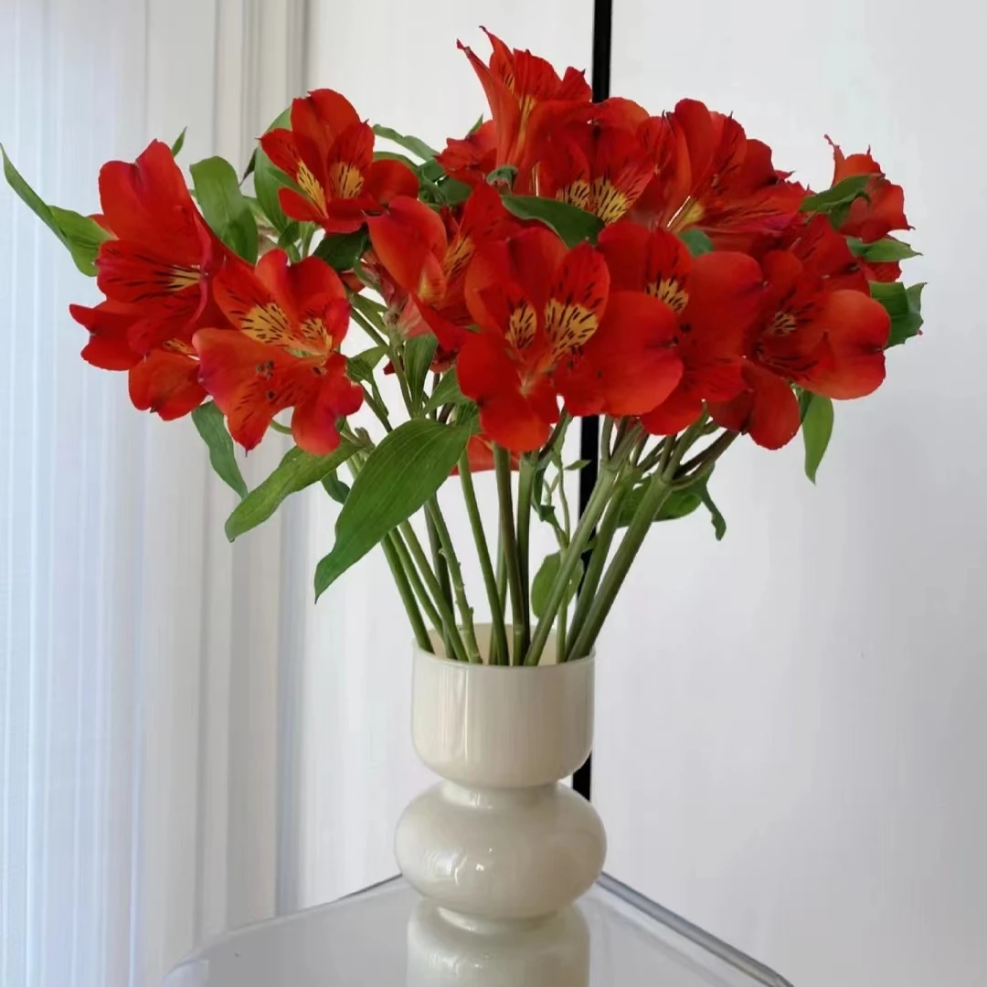 精品A级产地六出花水仙百合花鲜切花真花云南昆明直发