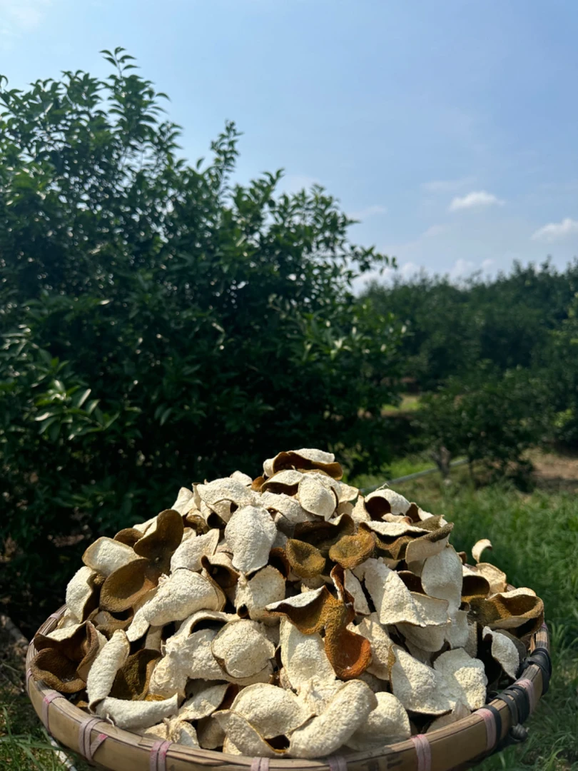 【2024年新会陈皮小冈驳枝大红皮】自家果园、自产自销、天然生晒