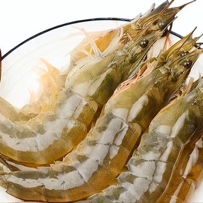 1斤装 {鲜活海明虾 } 500g/份 明虾