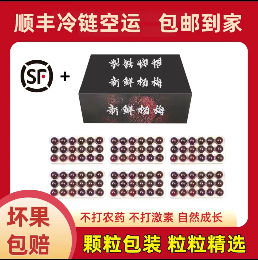 特大果礼盒装【顺丰空运】福建浮宫杨梅高山老树杨梅新鲜应季水果