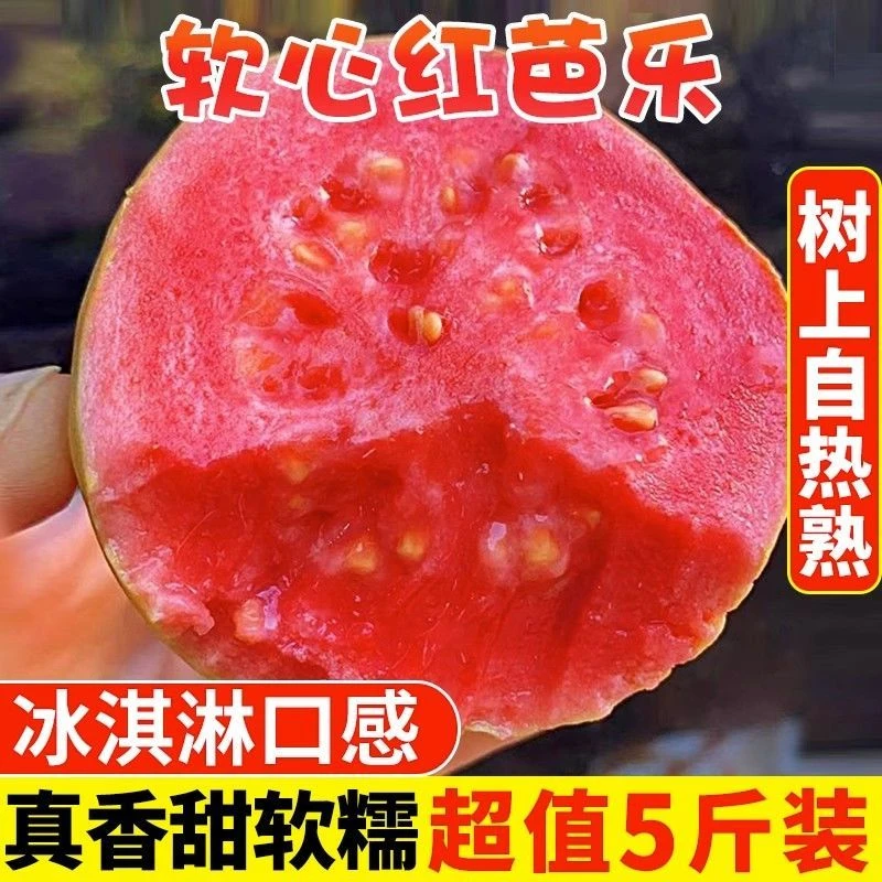 正宗红心番石榴红心芭乐 自然成熟口感香甜软糯新鲜水果3-5斤
