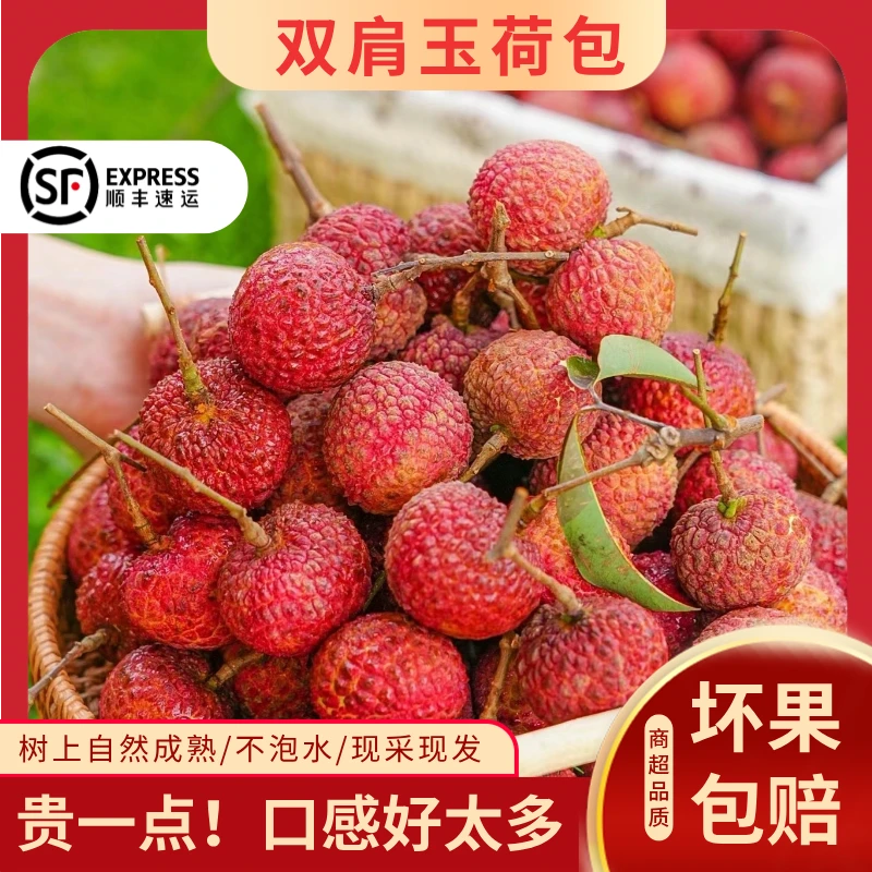晚熟荔枝【双肩玉荷包荔枝】精品老树果现摘现发清甜多汁2-3斤顺丰