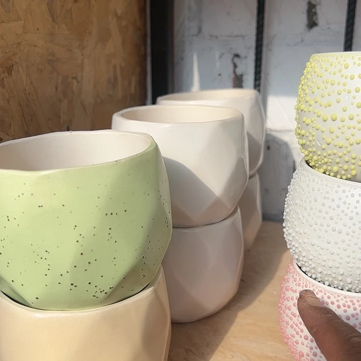 六个菱形花盆多肉植物