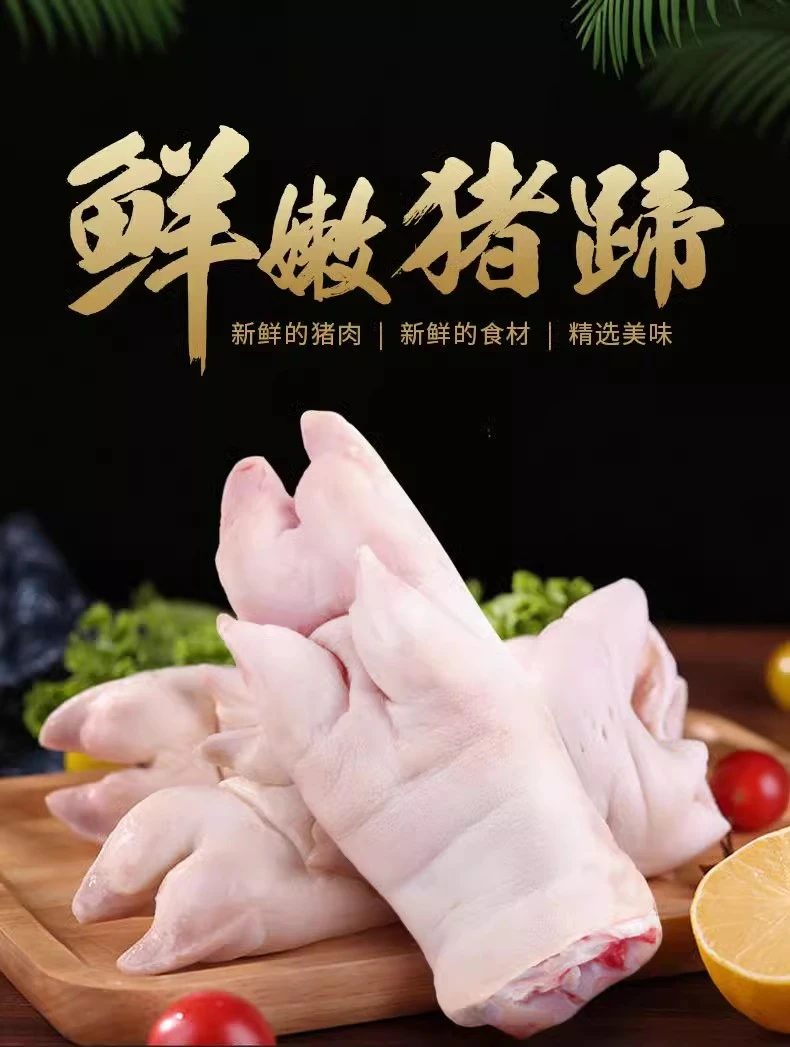 新鲜整根沂蒙山生猪蹄精品带筋前蹄烧烤猪脚猪爪猪手【8只/4斤】