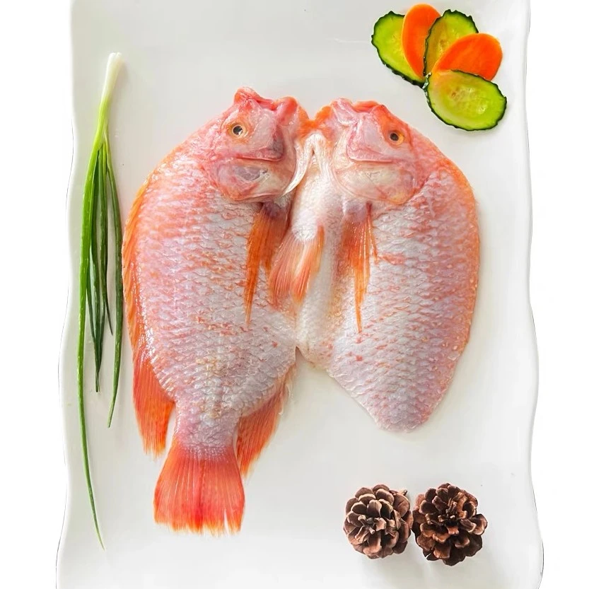 连云港顺丰发货 开背红星斑鱼  去腮去鳞去内脏  【400g-500g/条】Z