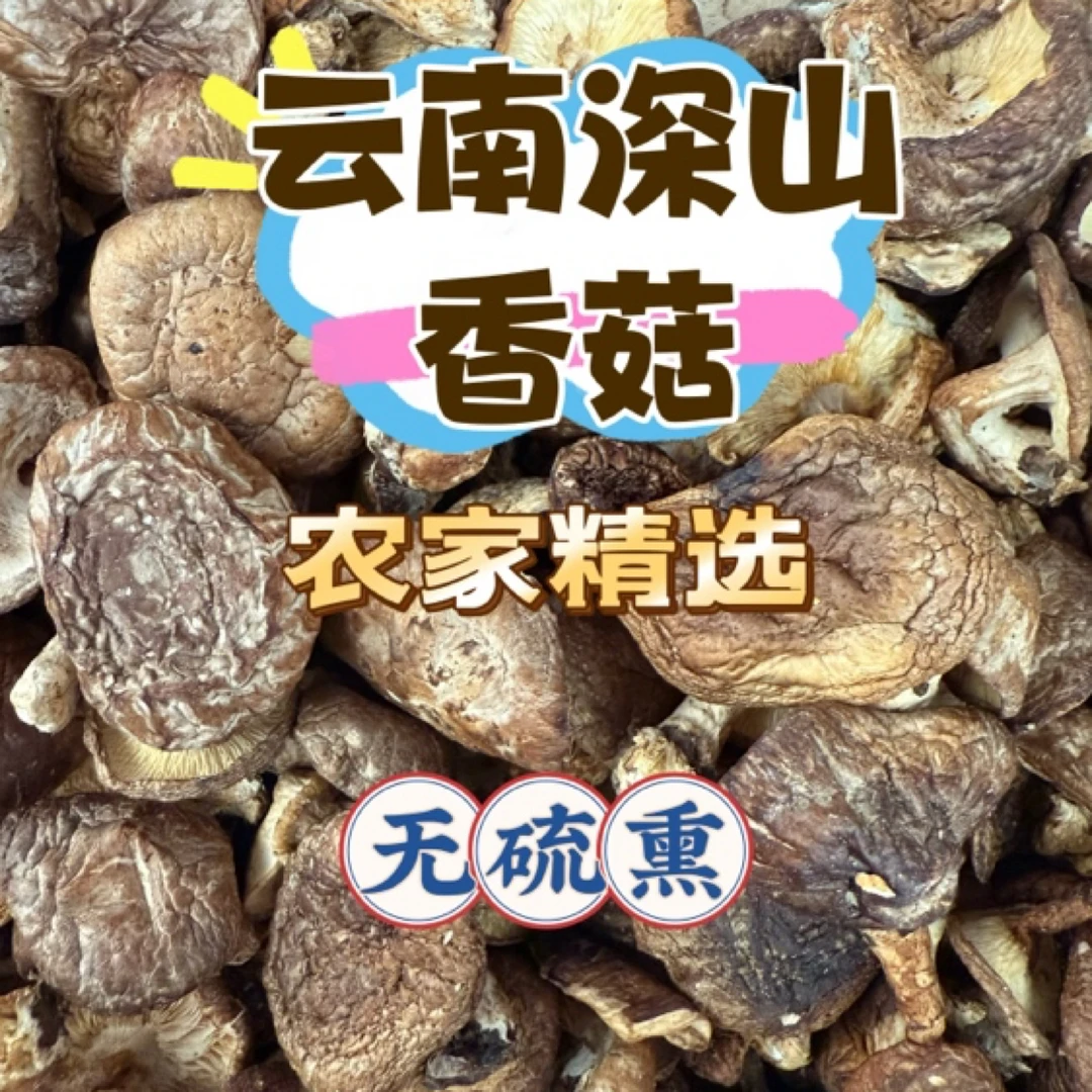云南深山野生香菇自然晒干无添加农家精选