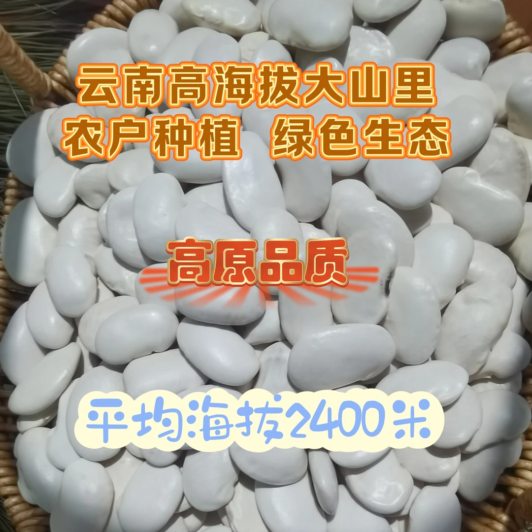 【开播吧青年】云南高海拔山区农户种植白芸豆绿色生态产地直发