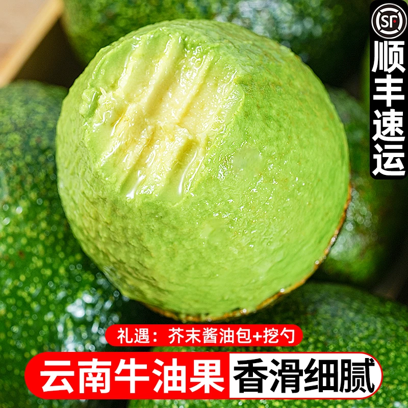 【鲜蜂队】云南新鲜牛油果6枚装单果100-190g