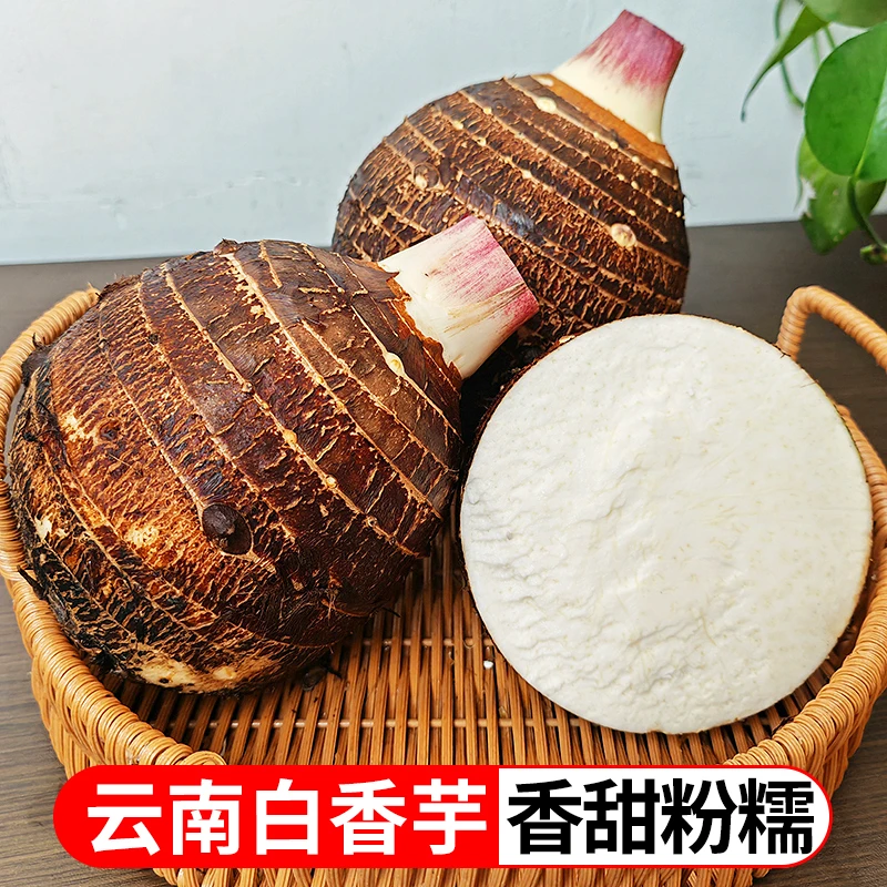 【嬢嬢专属】云南新鲜白香芋5斤8斤大芋头香甜粉糯