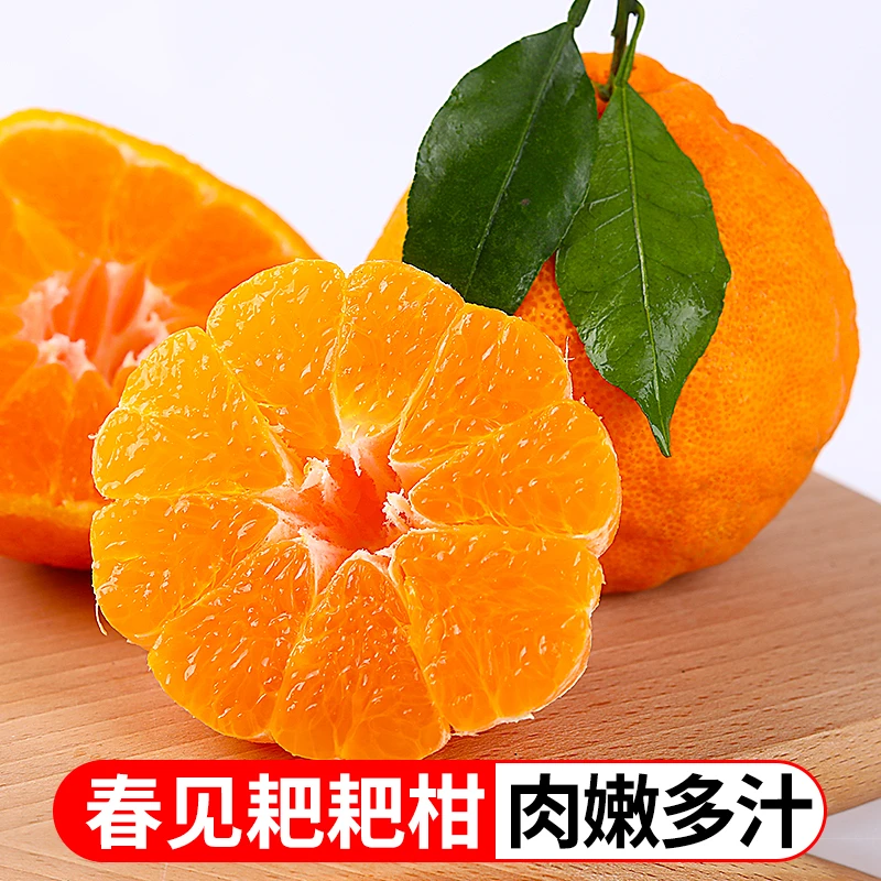 四川春见耙耙柑4.5斤新鲜水果桔子橘子产地直发