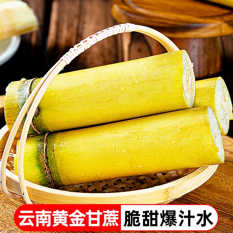 云南黄金黄皮甘蔗新鲜现砍应季水果5斤/9斤ZTLL