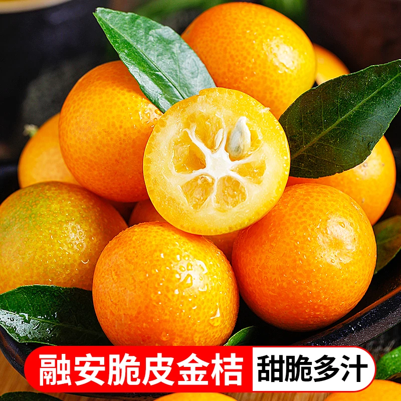 广西融安脆皮金桔2斤4斤纯甜无酸新鲜当季水果清甜可口丁同学