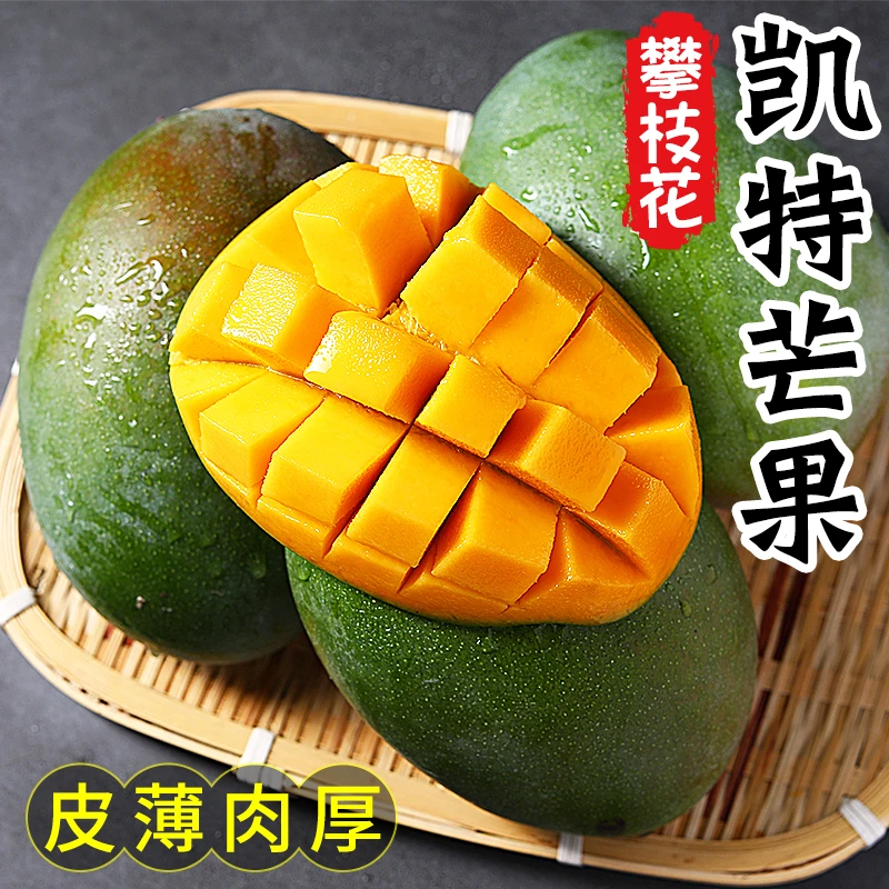 【小爱专属 催熟食用】四川攀枝花凯特芒肉厚5斤8斤新鲜香甜多汁