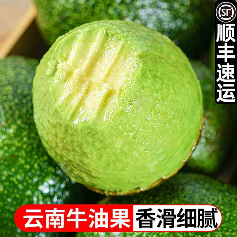 云南新鲜哈斯牛油果软糯香甜应季水果6枚装100-190gTY