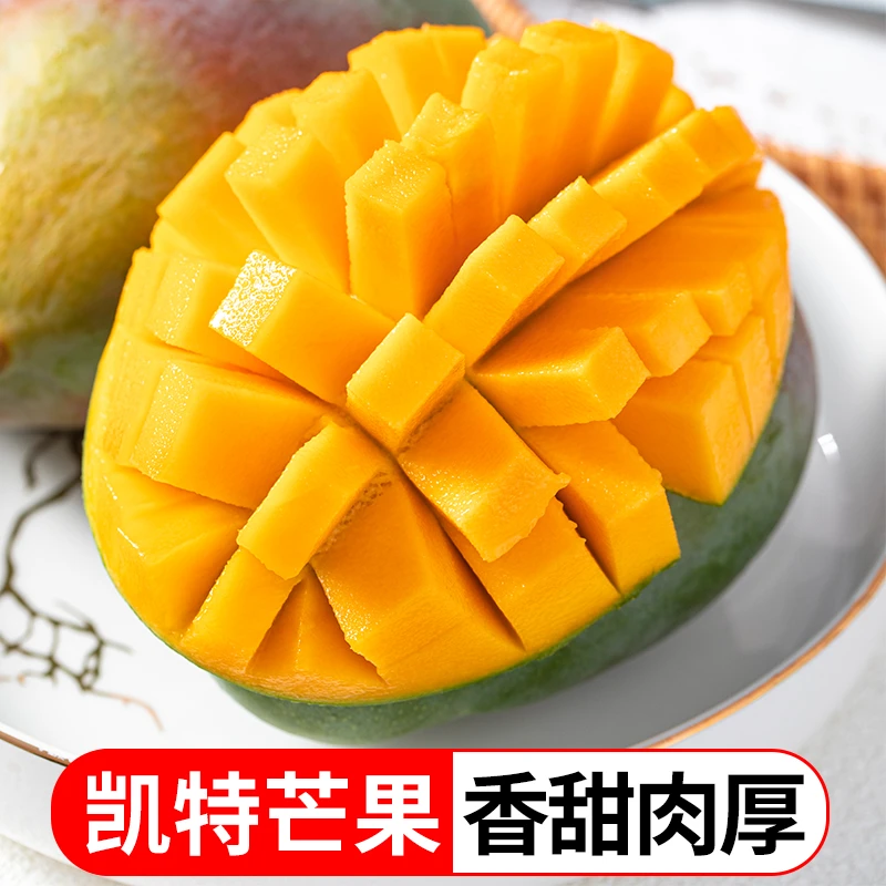 【五哥专属】四川攀枝花凯特芒5斤8斤凯特芒果新鲜香甜多汁催熟食用