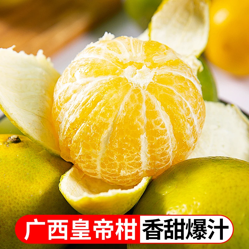 广西皇帝柑4.5斤新鲜水果甜蜜多汁新鲜采摘皮薄酸甜WJ
