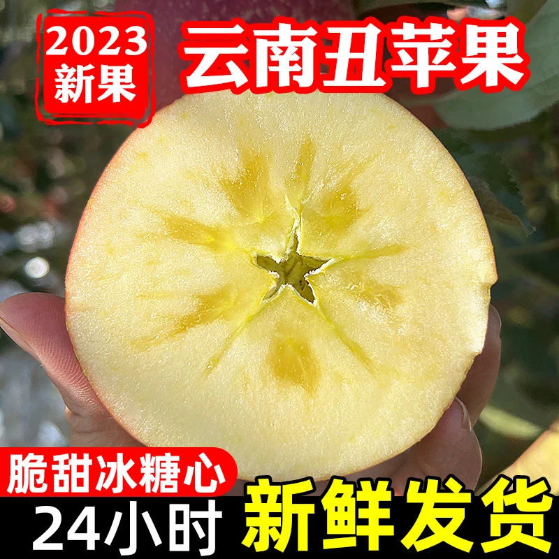 云南丑苹果新鲜水果脆甜好吃4.5斤装原产地直发丁同学