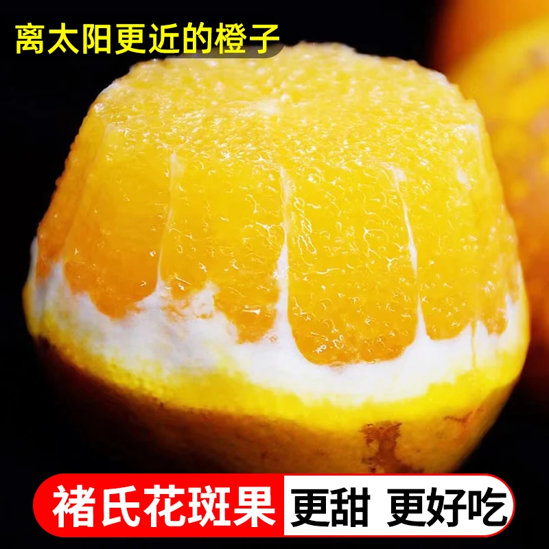 云南冰糖橙储氏花斑果4.5斤香甜细腻皮薄爆汁