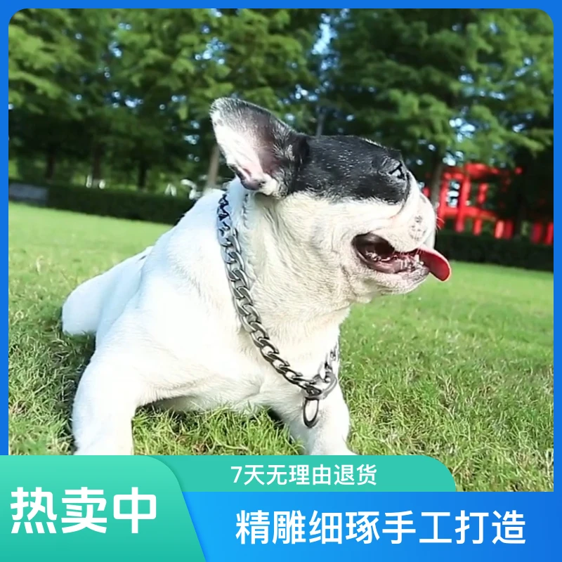 驰昂304不锈钢P链狗狗项圈小中型大型犬金毛马犬宠物脖套牵引链子
