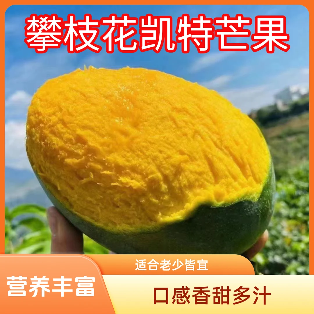 攀枝花凯特芒果产地直发高山种植大青芒清甜多汁营养催熟5-10斤