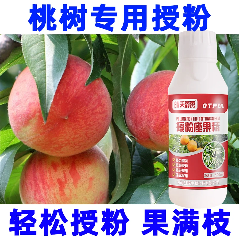 桃树授粉座果灵桃树强力授粉保花保果防落果授粉坐果精桃树授粉药