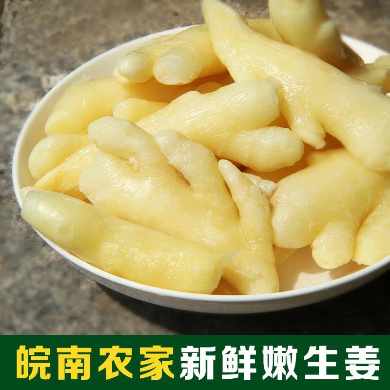 安徽泾县特产章渡生姜酱菜鲜嫩生姜农家腌制生姜装笋1g