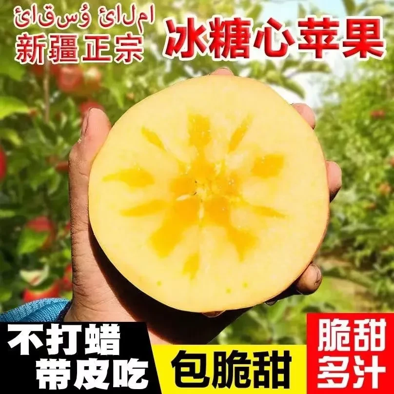 （19.8发5斤）新疆阿克苏冰糖心苹果新鲜采摘现摘现发应季水果脆甜