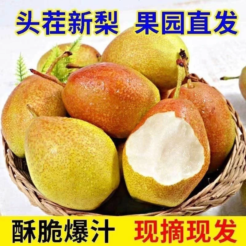 新疆直发新疆库尔勒红香酥梨新鲜细腻皮薄汁水甘甜肉质爽口