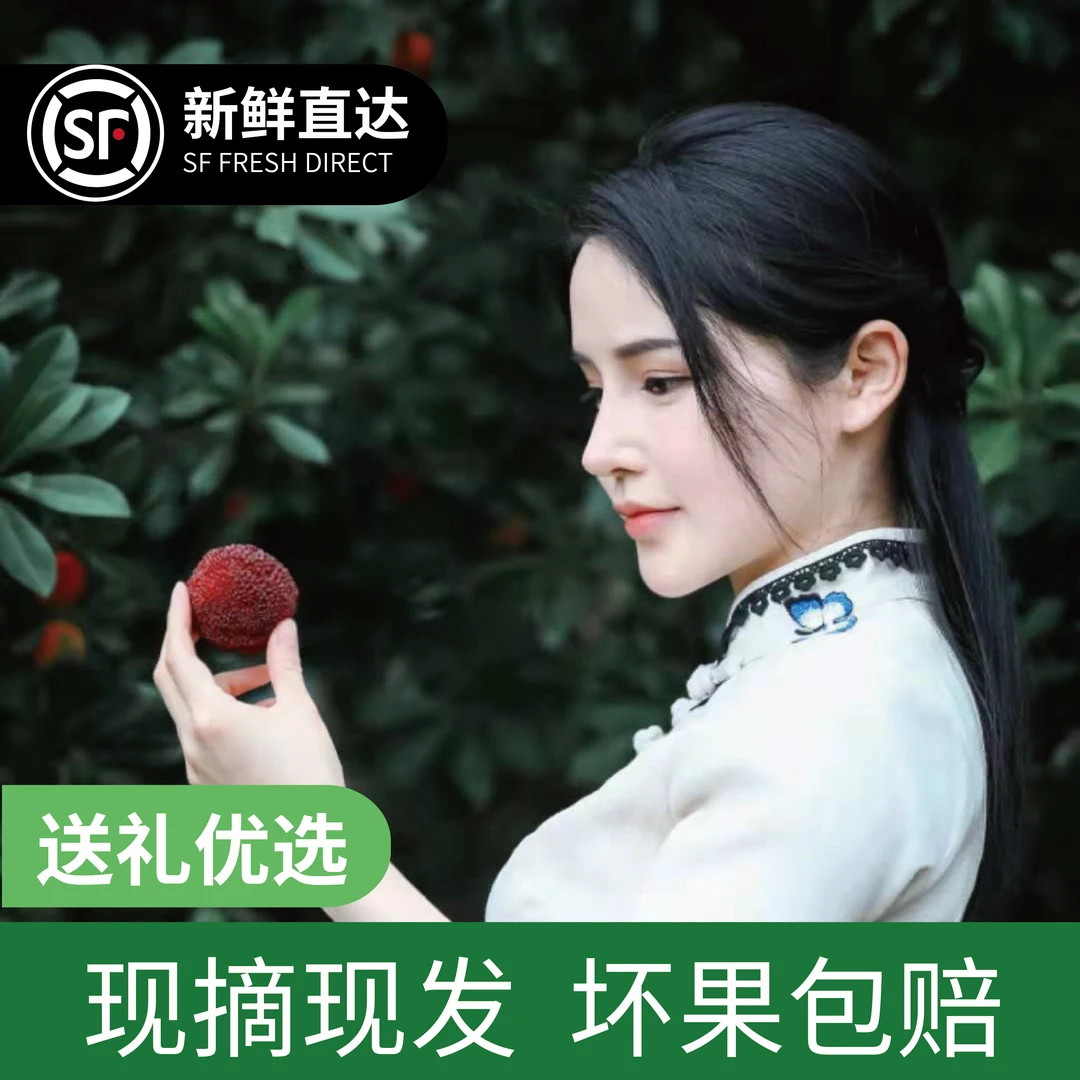 【7A大果】仙居东魁杨梅鲜果现摘现发颗粒装自然熟新鲜水果特甜SSS