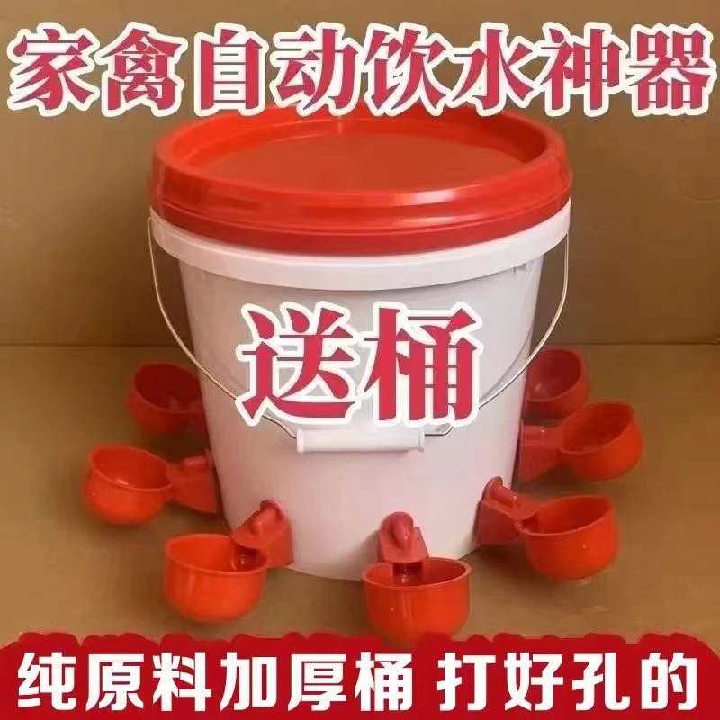 家禽自动喂水喝水器养殖专用水桶鸭鹅喂鸡自动饮水器鸽子饮水碗