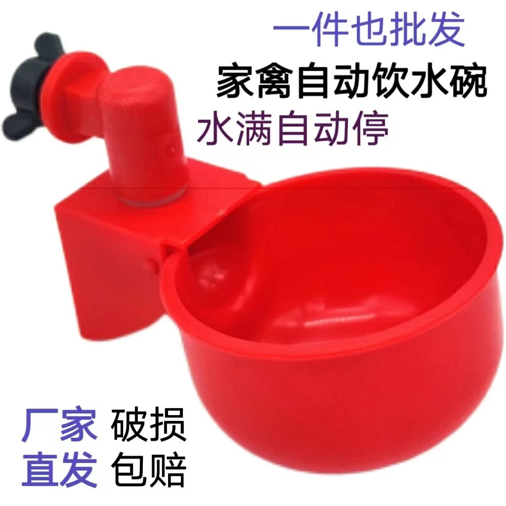 自动小鸡饮水器小鸭鸽子鸭鹅饮水碗鹌鹑自动喂水器家禽自动饮水器