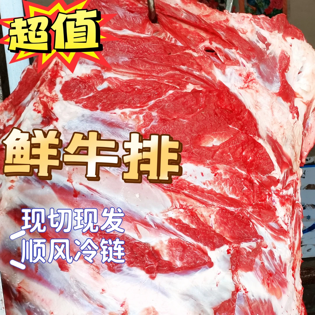 【牛肋条  牛排】新鲜黄牛排，正宗带肉黄膘放草土黄牛