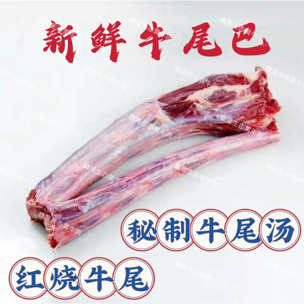 【新鲜牛尾巴】散养土黄牛现宰现发新鲜牛尾巴