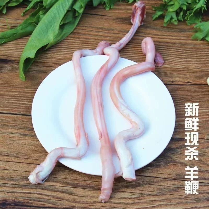 新鲜羊鞭羊宝烧烤食材生鲜产品羊鞭整根新鲜羊鞭商用鲜嫩肉质发货