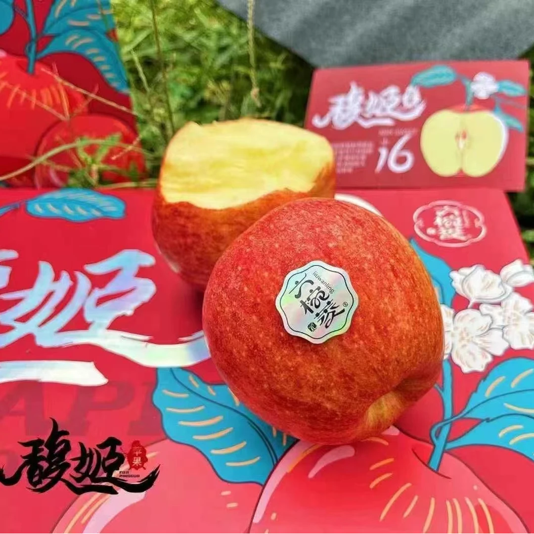 【蓝鲸小掌柜】六椀菱馥姬苹果一箱8个5斤左右