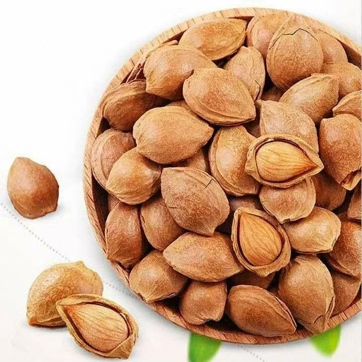 农家开口杏核甜杏核柴火炒味道香杏香酥脆