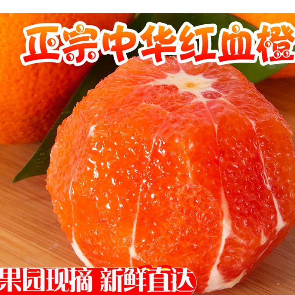 2023年湖北巴东中华红血橙酸甜多汁新鲜采摘5斤9斤装送开果器