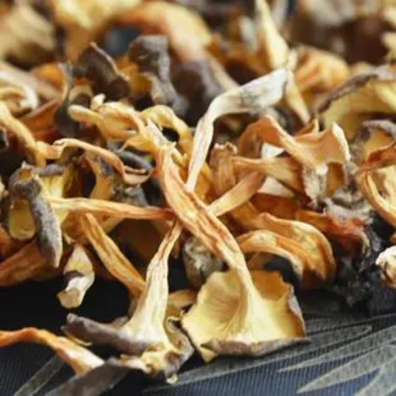 云南野生桂花菌煲汤营养美味