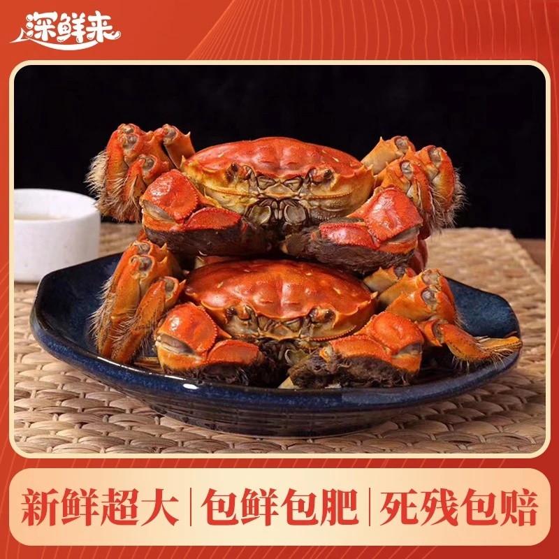 【活蟹】汈汊湖大闸蟹公3.5-3.2两母2.5-2.3两到手10只顺丰冷链包邮