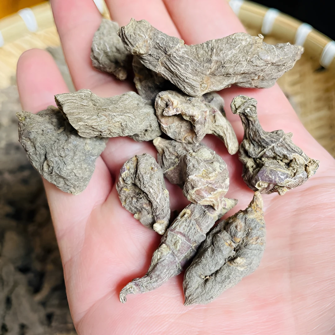 云南土特产咦倒参