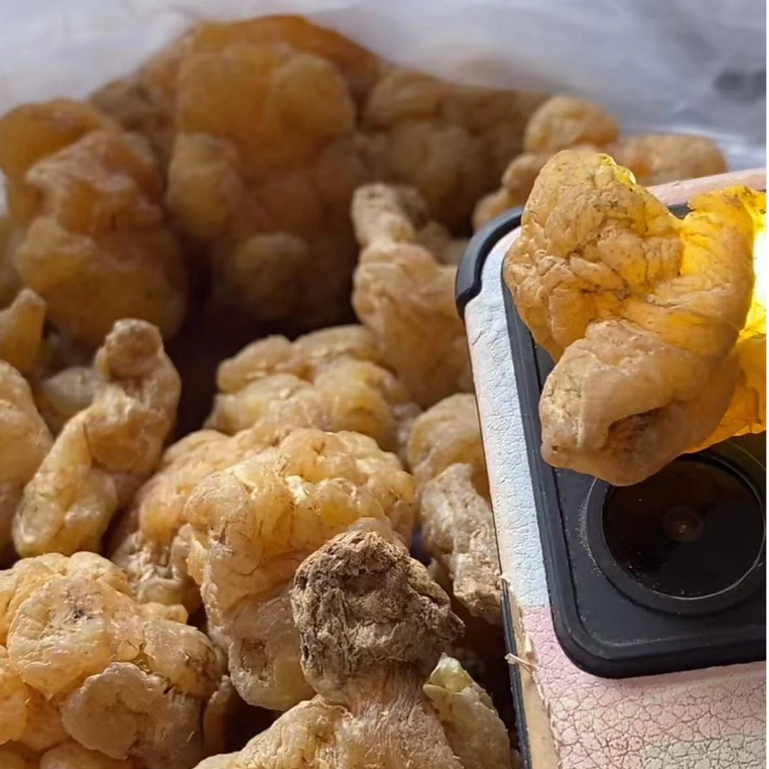 云南土特产 滋补农产品 玉*-金*-岺