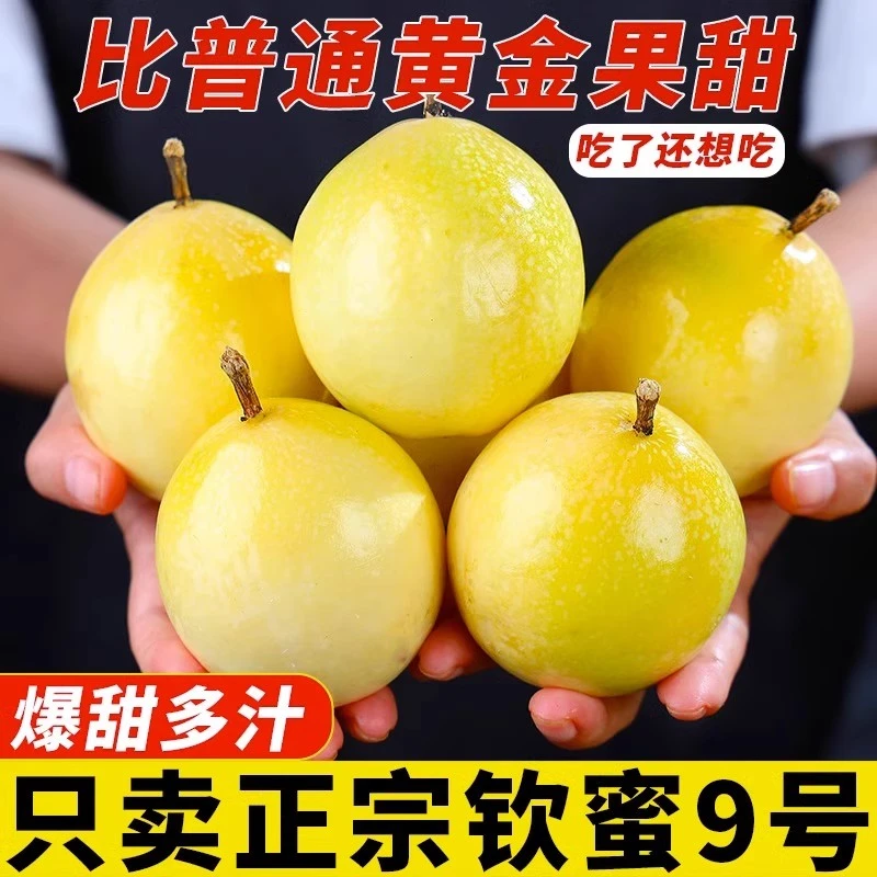 【香甜】钦密9号黄金百香果 新鲜水果现摘现发原产地直供营养鲜甜