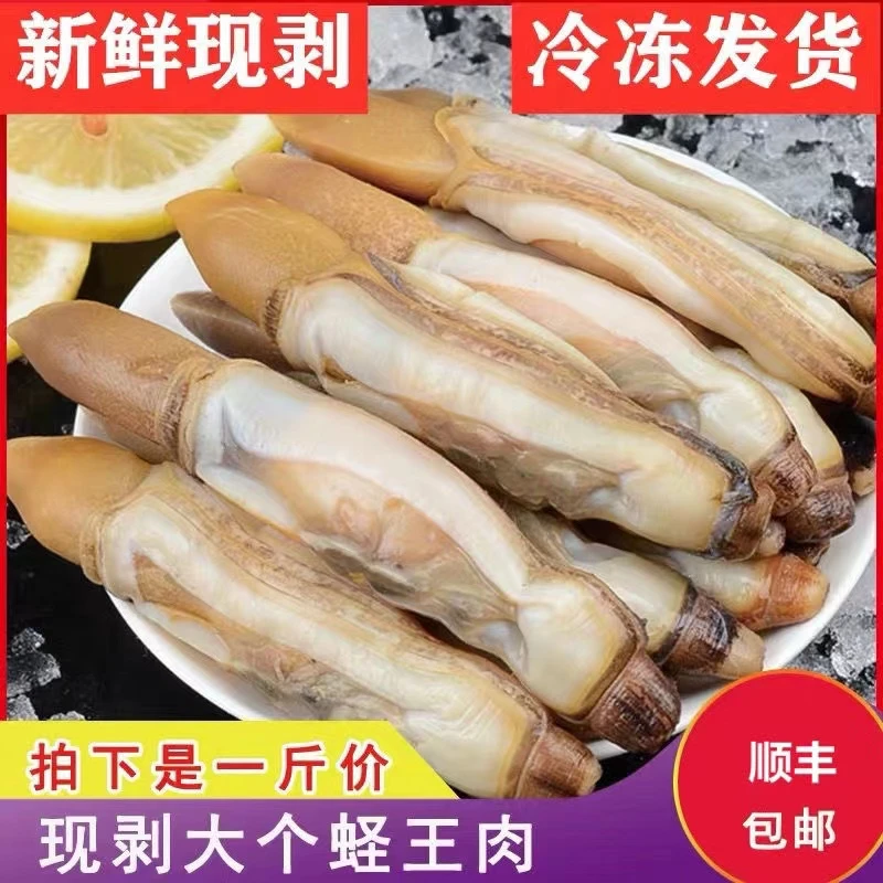5包*400g/包 野生海捕新鲜蛏王肉鲜活冷冻竹节蛏子海鲜水产贝类