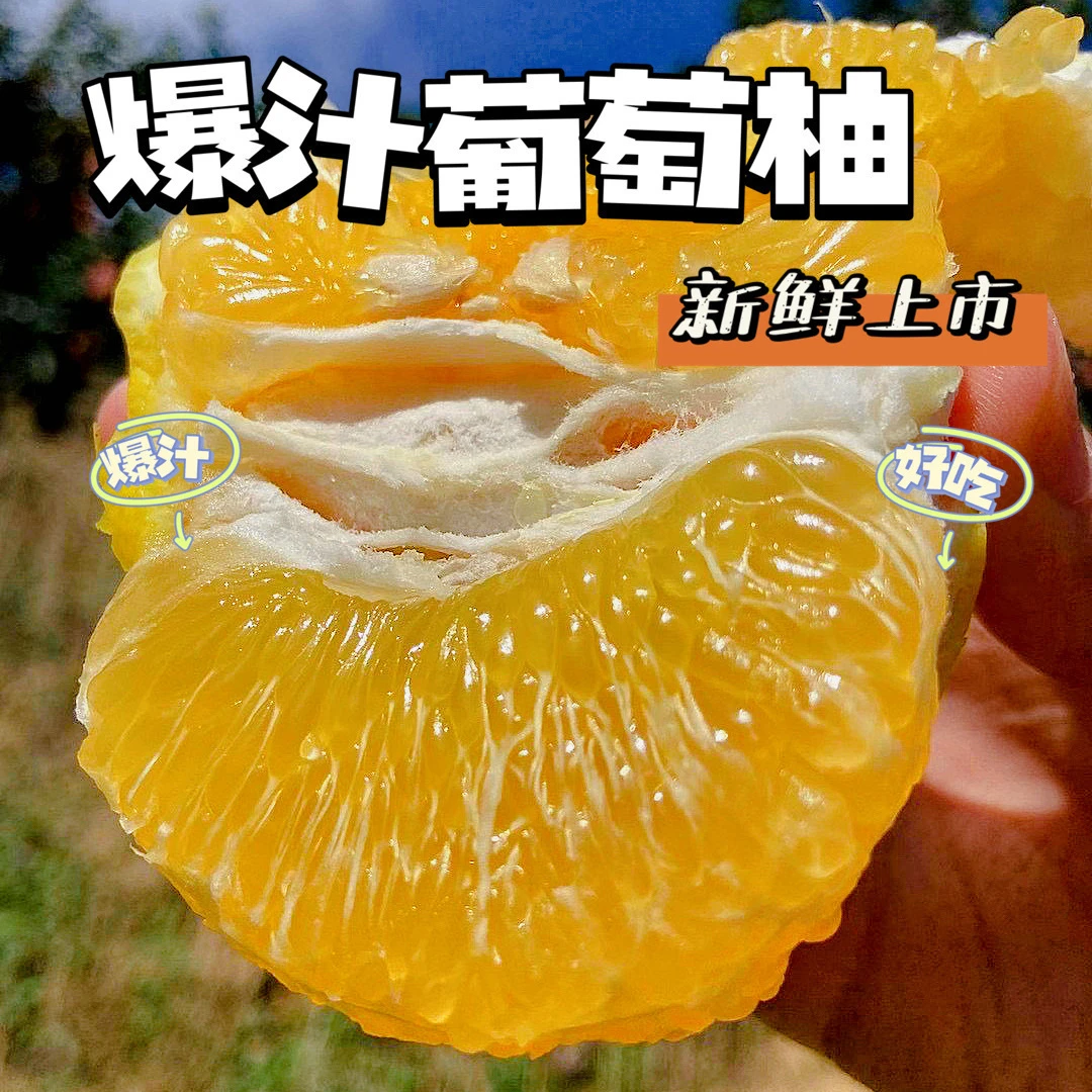 【天人农场】福建纯甜爆汁葡萄柚4.5斤/4-6个礼盒装送榨汁器满满维C