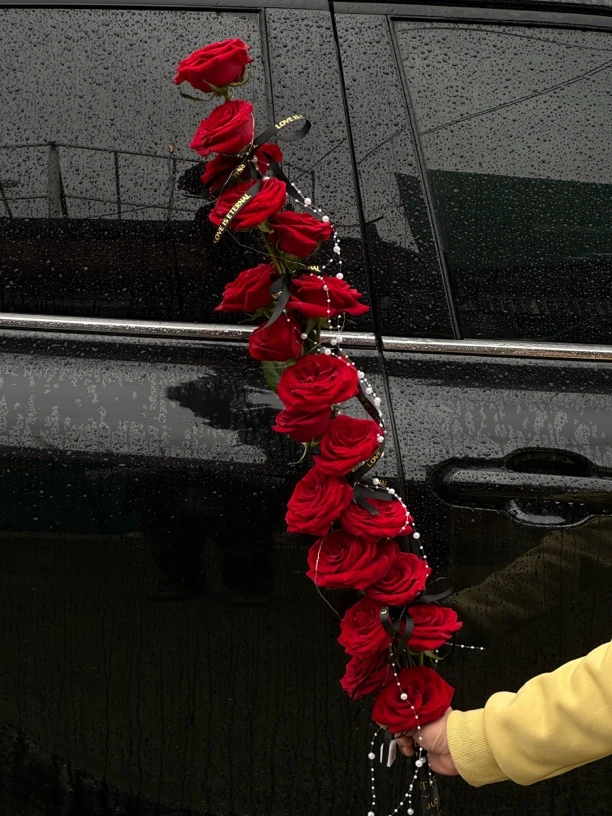 【一米玫瑰】一米玫瑰