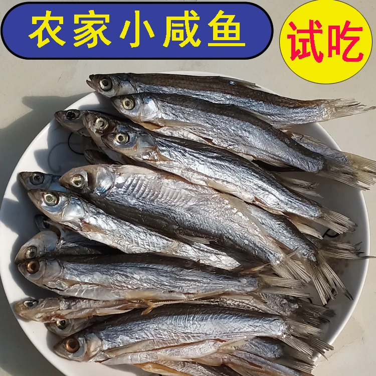 安徽盐鱼干腌制小毛鱼咸鱼干小河鱼小杂鱼白刀刁子鱼餐条穿条腰皮