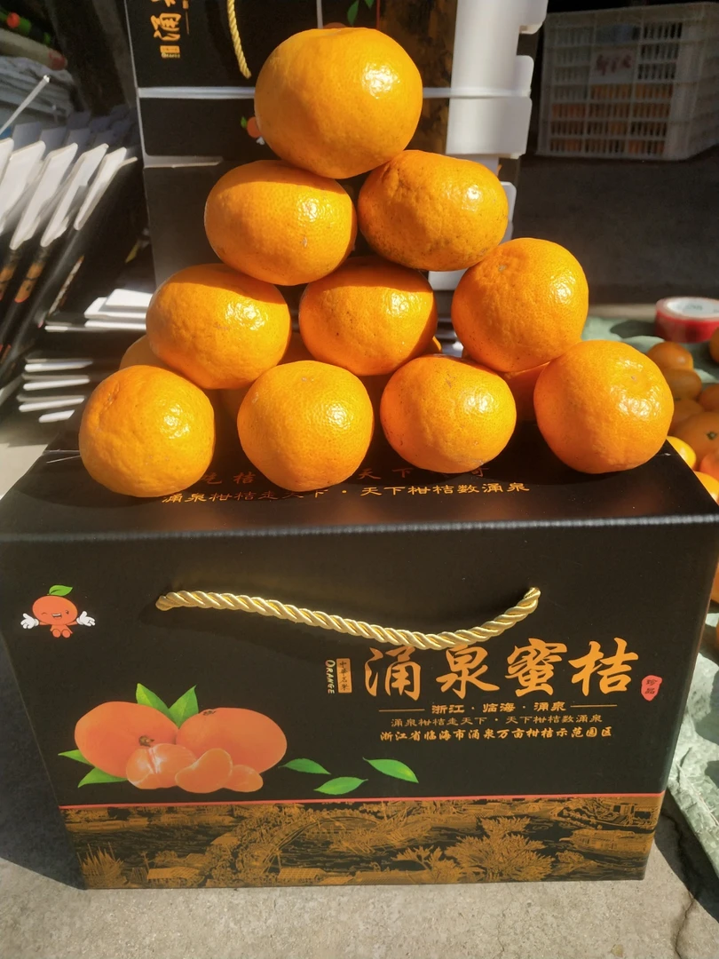 正宗临海涌泉蜜桔早熟宫川台州橘子现摘新鲜水果自产无核蜜橘包邮