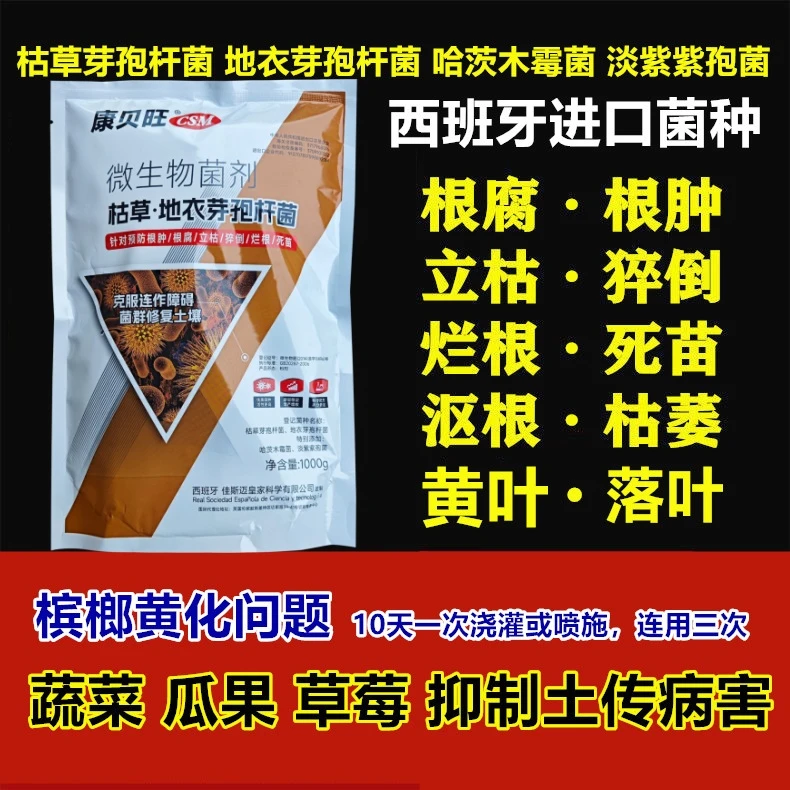 枯草地衣芽孢杆菌进口菌种根腐灵根腐病专用灌根药土壤病害消菌剂