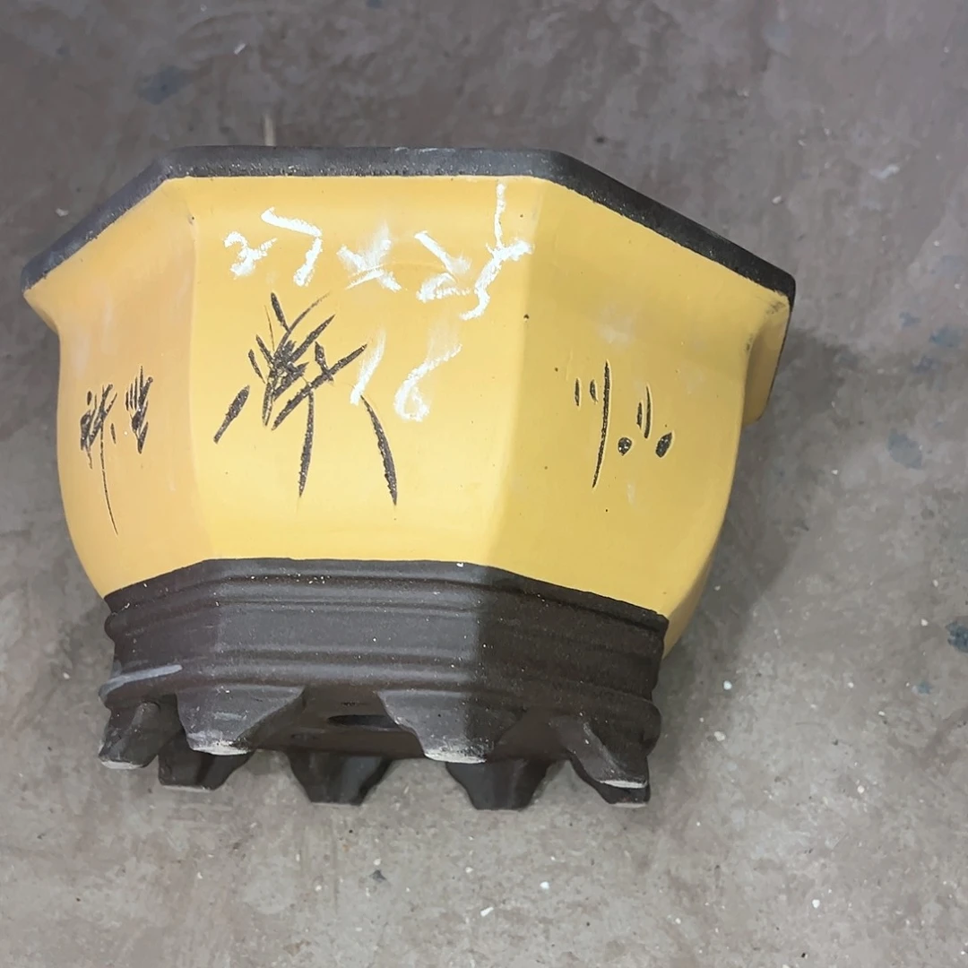 红陶20CM（含）-50CM（不含）