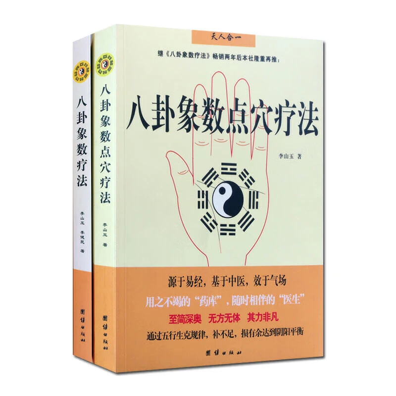 八卦象数疗法八卦象数点穴疗法(全2册) 李山玉李健民中医养生书籍
